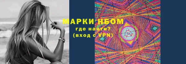 шишки Алзамай